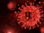ketahui-tentang-varian-kappa-mutasi-virus-covid-19-terbaru-halodoc
