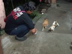 IMG-20251004-WA0006